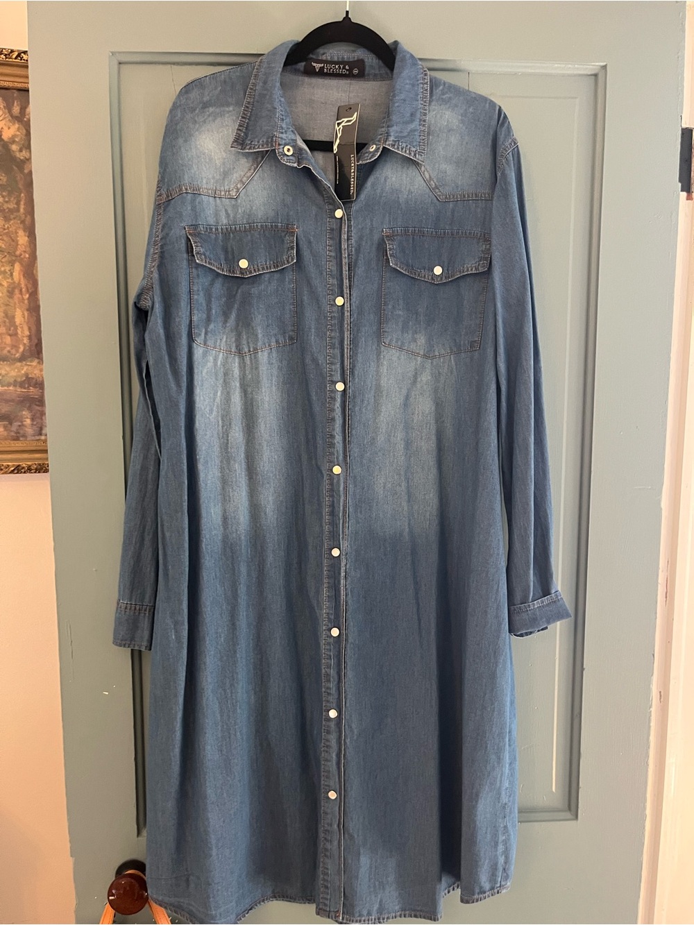 Ladies Denim Snap Up Dress